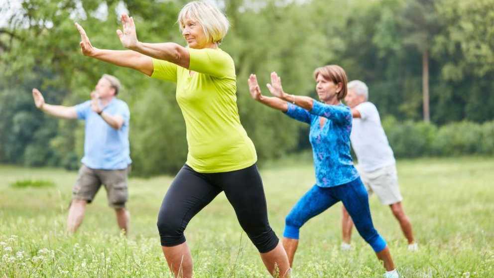 Tai Chi practitioners