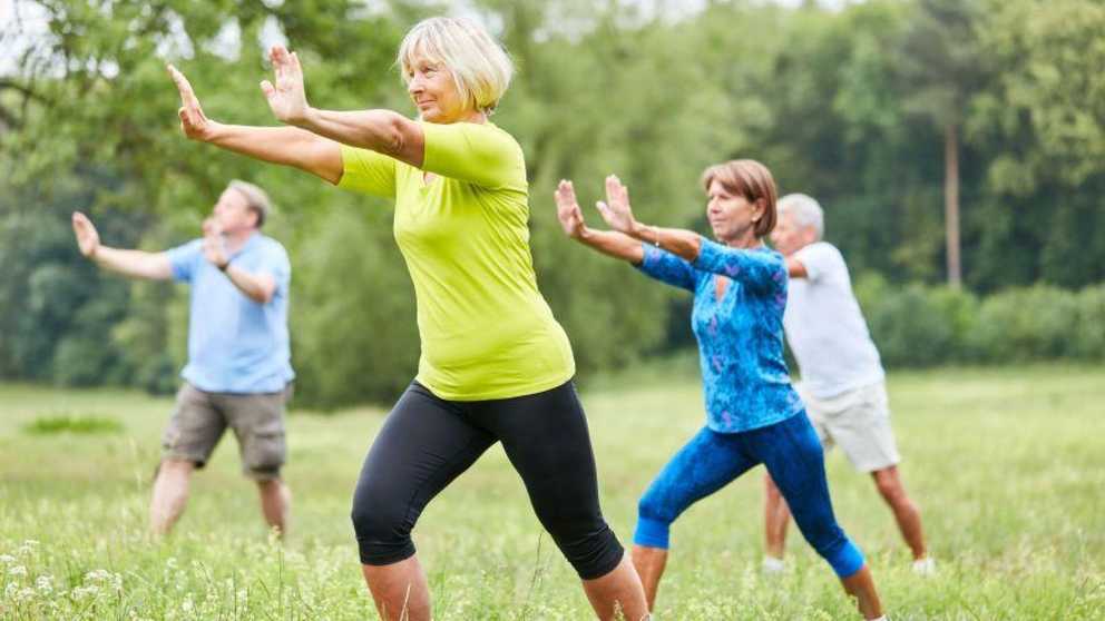 Tai Chi practitioners