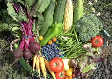 Produce Shot for Farmers Market