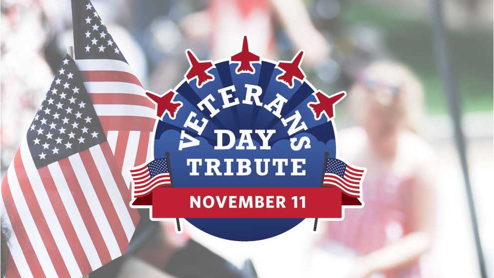 Veterans Day Tribute