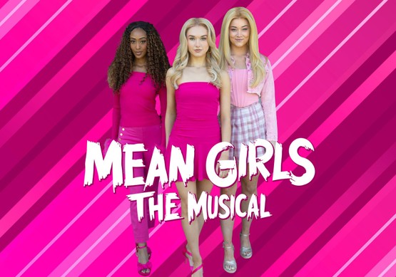 Photo of 3 "Mean Girls" dressed in pink, on a hot pink striped background